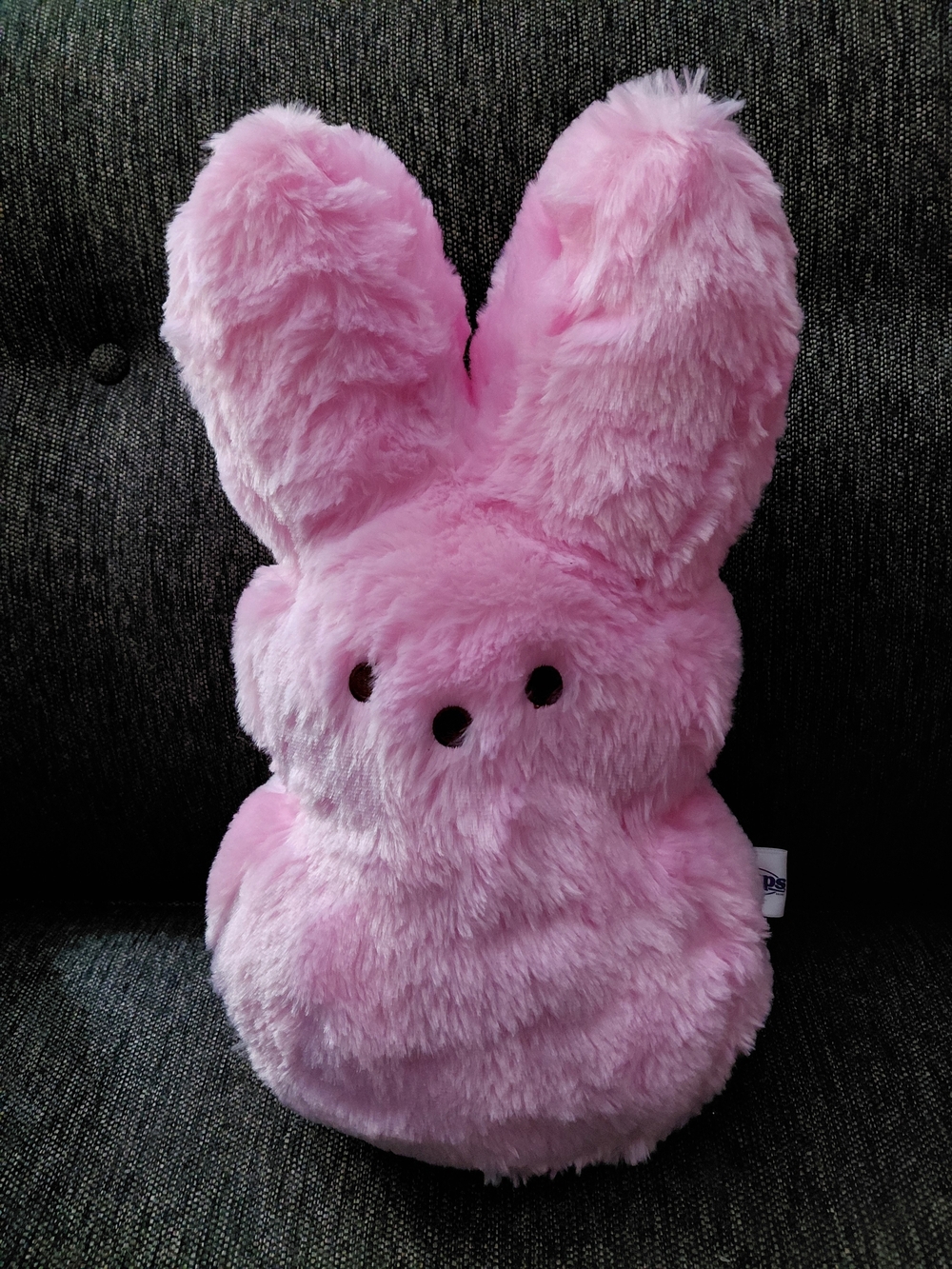 Peeps Large Plush Pink Bunny